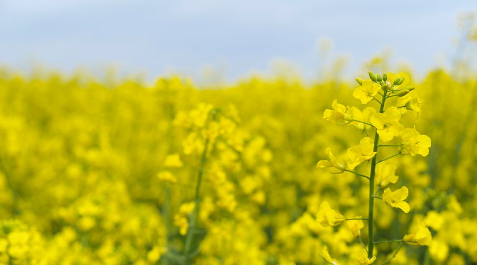 Canada clears BASF for Bayer/Monsanto divestiture