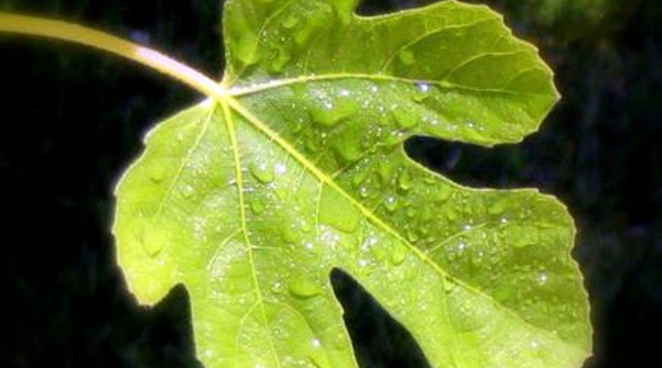 GENEVA: Using ICJ case law as a fig leaf