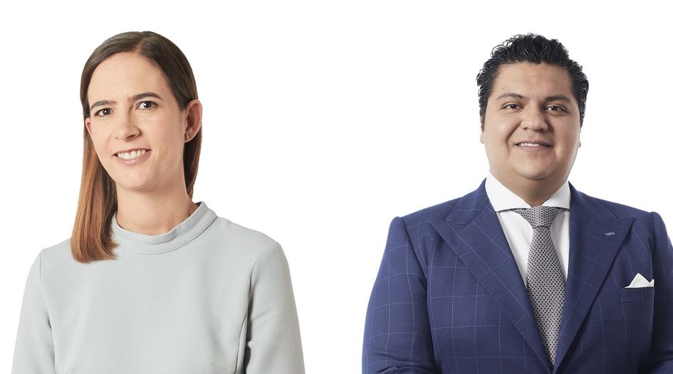 Greenberg Traurig appoints first female shareholder in Mexico