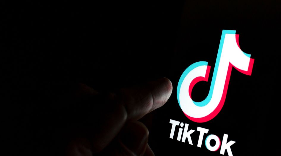 TikTok case: US national security powers can't stop data flows