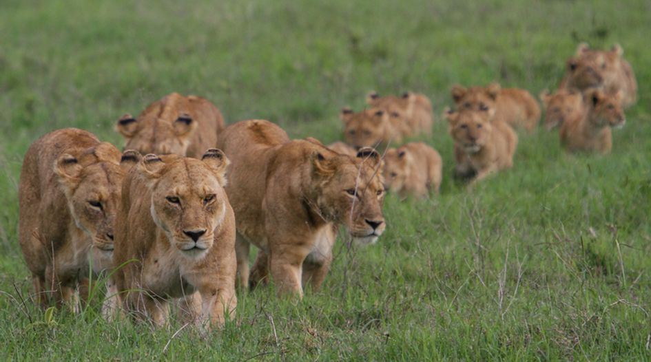 Lions of global patent dealmaking revealed