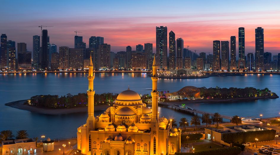 UAE proceedings blocked in wake of asset freeze