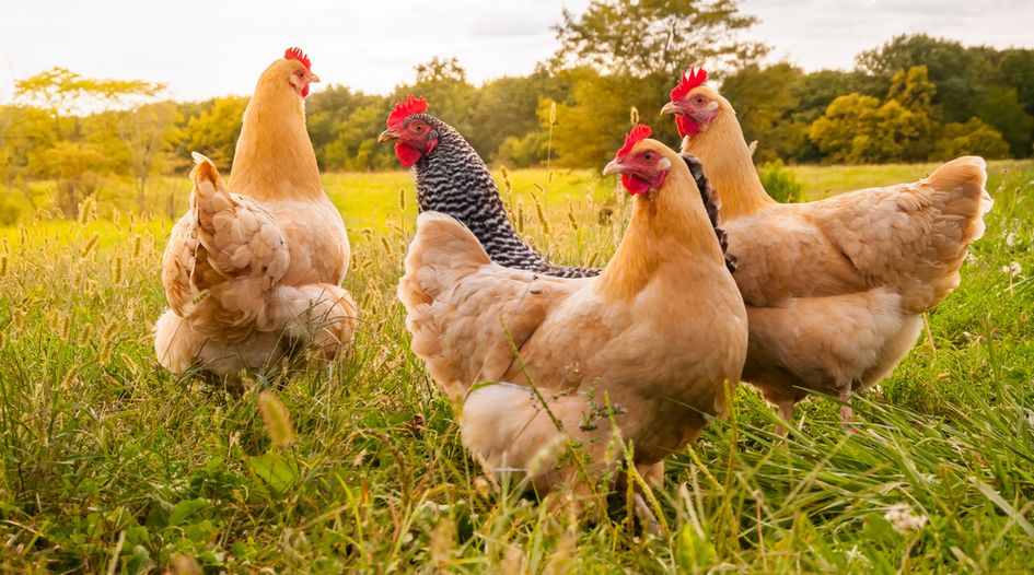 Pakistan raids poultry association