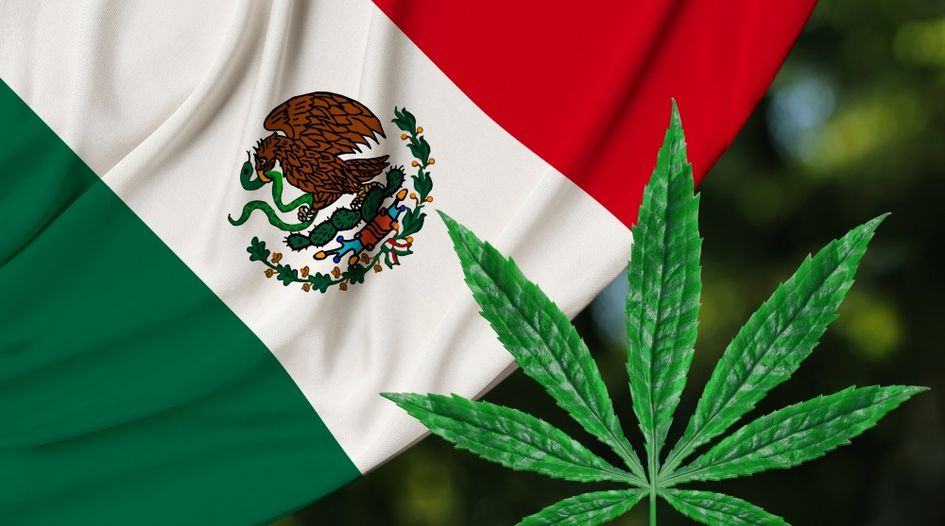 Sixteen key questions answered about Mexico’s cannabis brands landscape