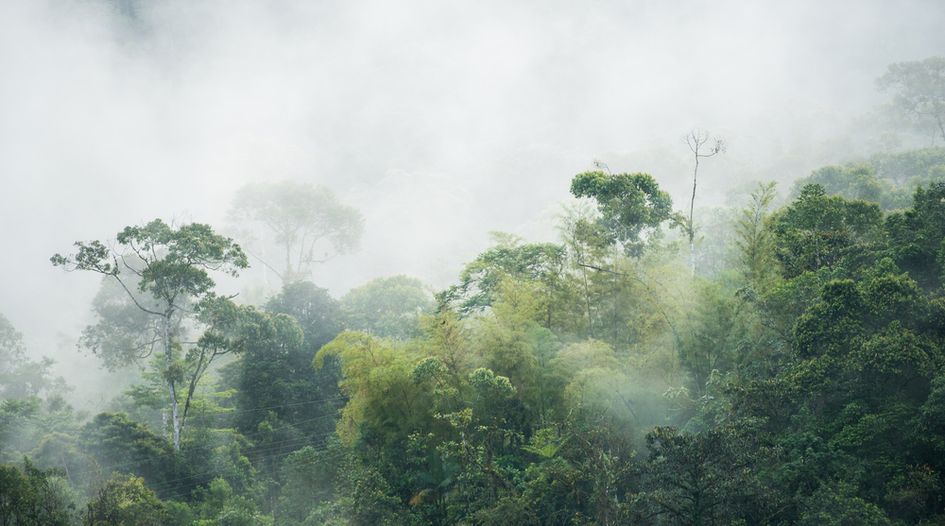 A blow to legal security in Ecuador’s mining sector