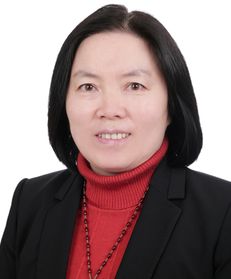 Xia Zheng