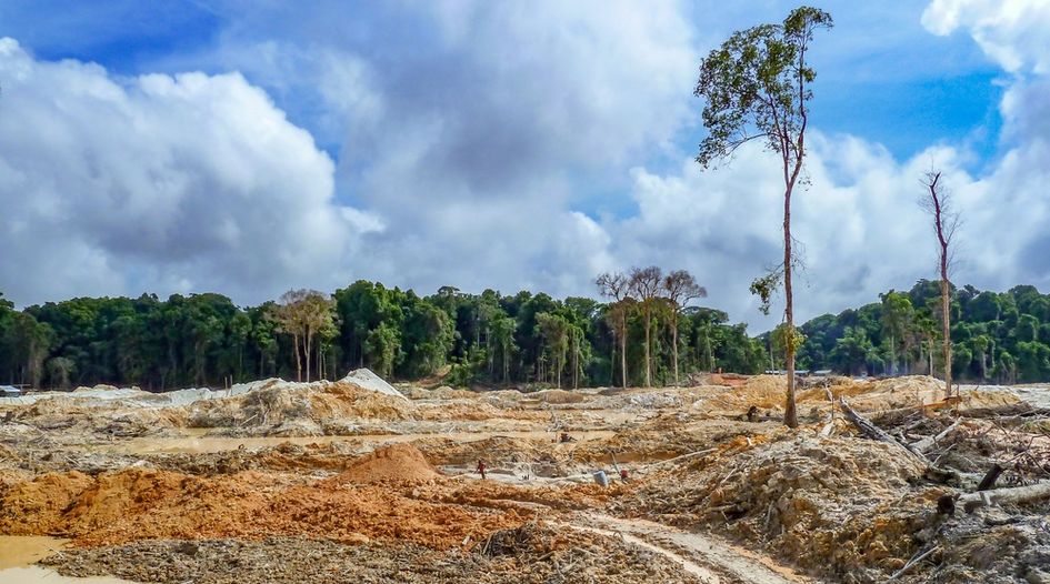 Chinese mining investor brings claim against Ecuador