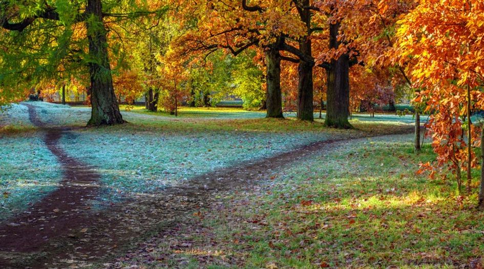 Freshfields Lecture: The Road Not Taken
