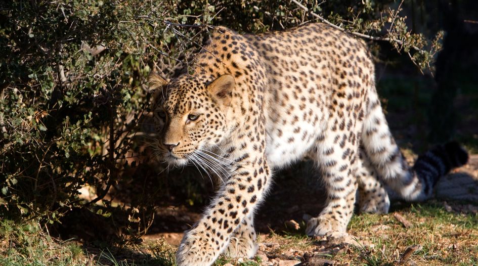 Azerbaijan launches landmark biodiversity case against Armenia