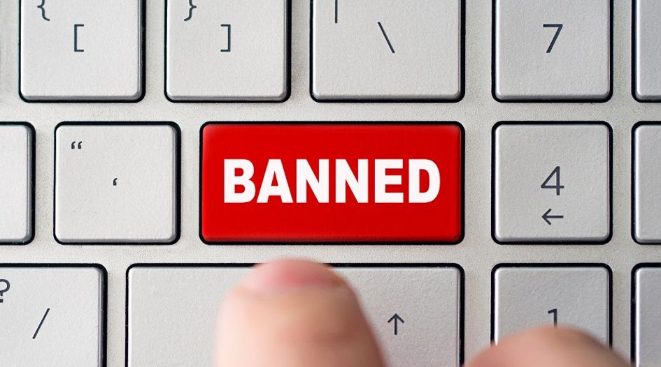 TikTok and other US online bans could create additional risk