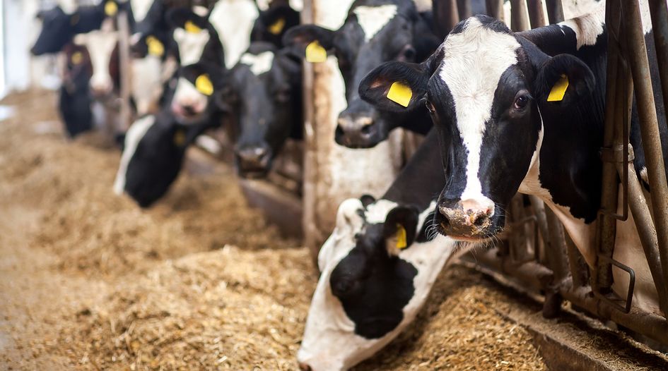 US court upholds dairy investor’s award against Libya