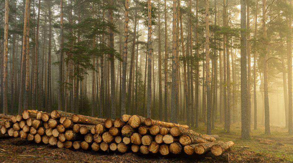 Lithuanian antitrust enforcer flags concerns over forestry legislation