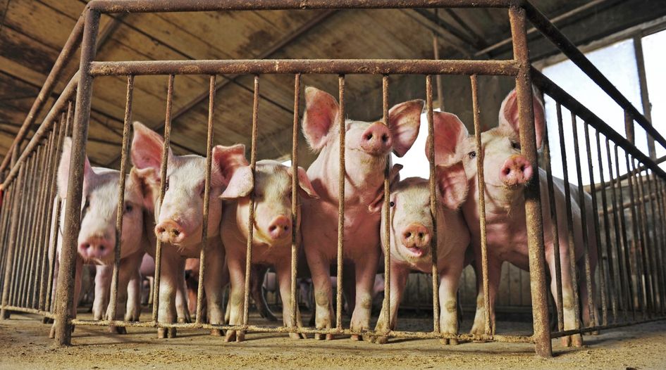 Chinese pig breeders scrap no-poach agreement after SAMR sounds alarm