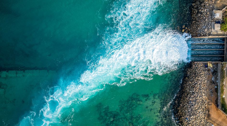 Algerian state entity wins shares but no damages in seawater plant dispute