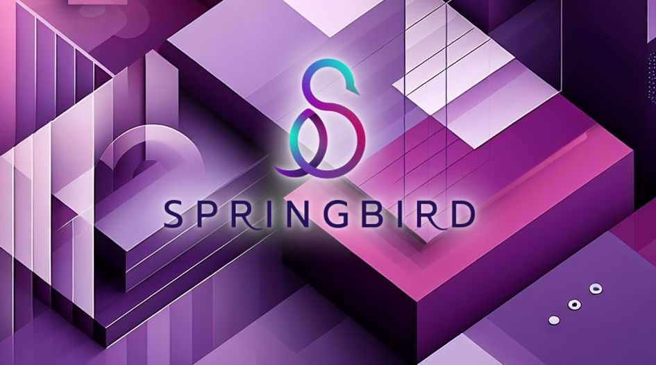 Five minutes with... Springbird