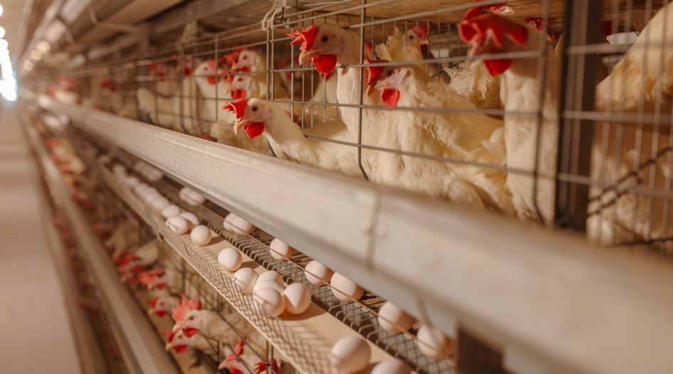 BLP hatches Costa Rican poultry deal