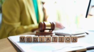 Why admin fees could help to incentivise IP mediation
