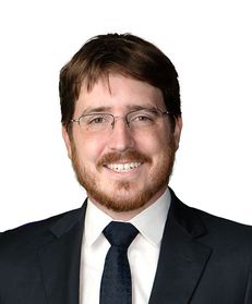 Alexander S Krois