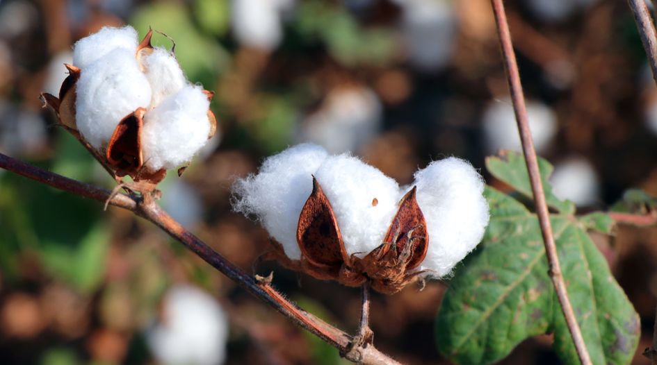 European Parliament to vote on shock proposal to ban CRISPR-developed plant patents