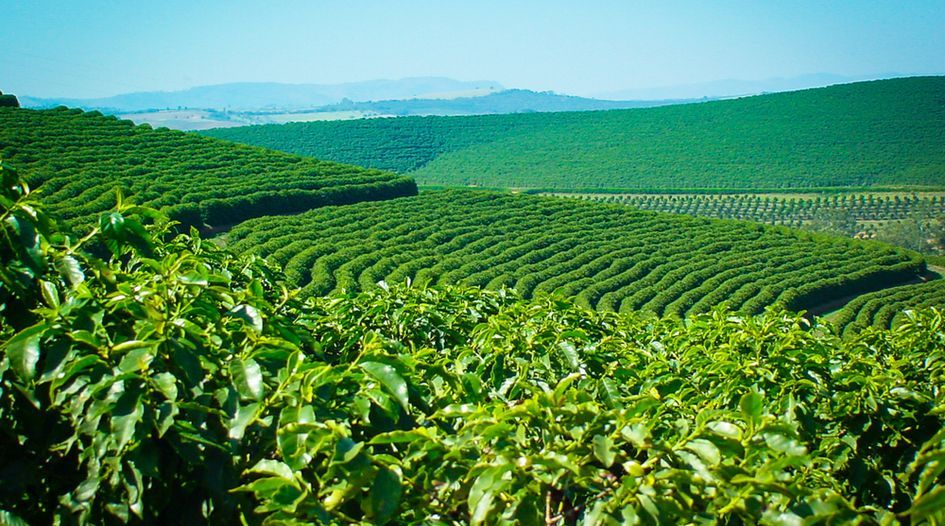 Coffee trader gets landmark Chapter 11 recognition in Brazil