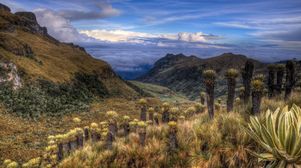 Colombia defeats ICSID claim over environmental measures
