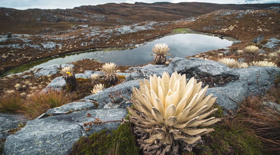 Colombia mining award sheds light on tribunal split