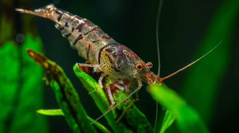 Tiger-prawn investors win claim against Gambia