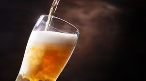 Second Circuit denies Modelo summary judgment over ambiguous terms in licensing agreement