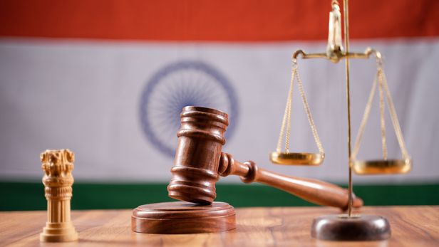 INTA steps in to dispute Delhi High Court interpretation of ‘article’&nbsp;