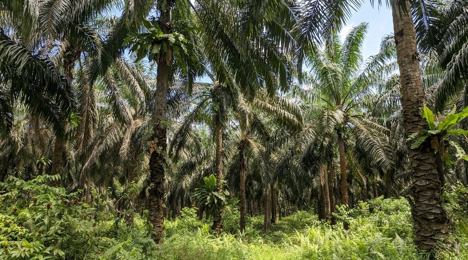 马来西亚宣布在新加坡国际仲裁中心关于种植园股权的纠纷中获胜