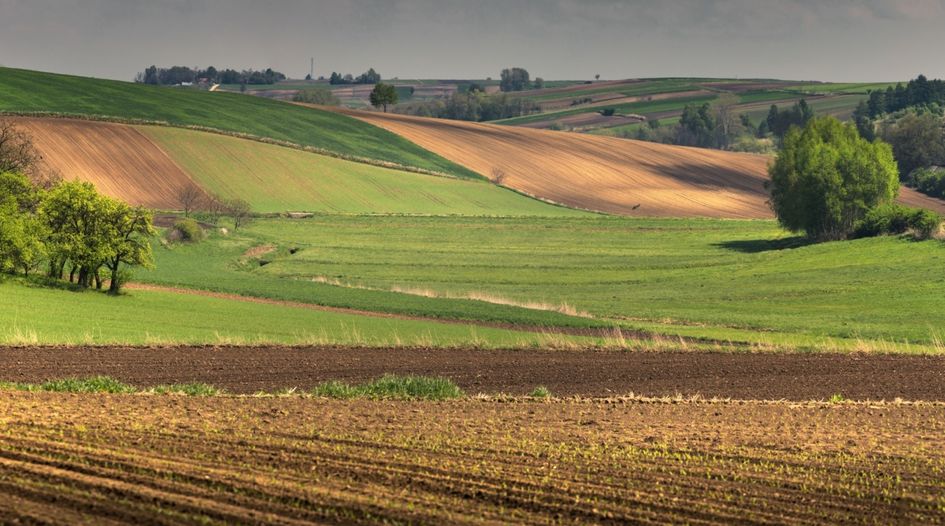 UPC injuncts Polish mushroom farmer, destroys another Dexcom patent