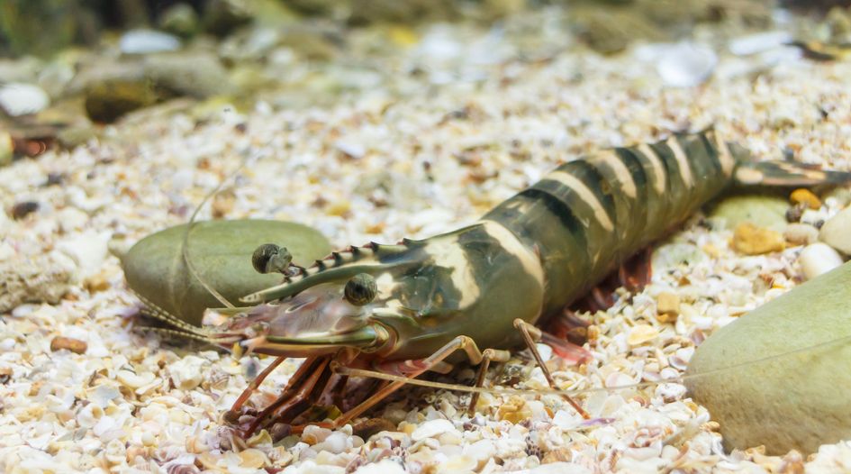 Gambia seeks annulment of tiger-prawn award