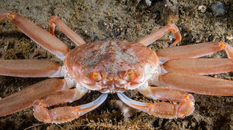 Snow crab investors’ claims stall at ICSID