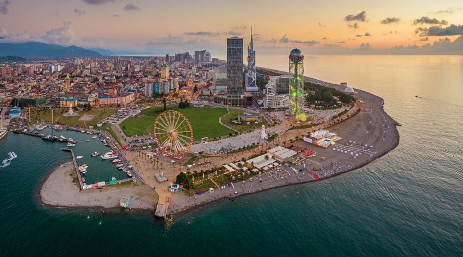 Georgia sinks claim over port project&nbsp;