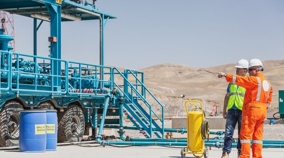 UAE-led consortium brings claim over Iraqi gas project