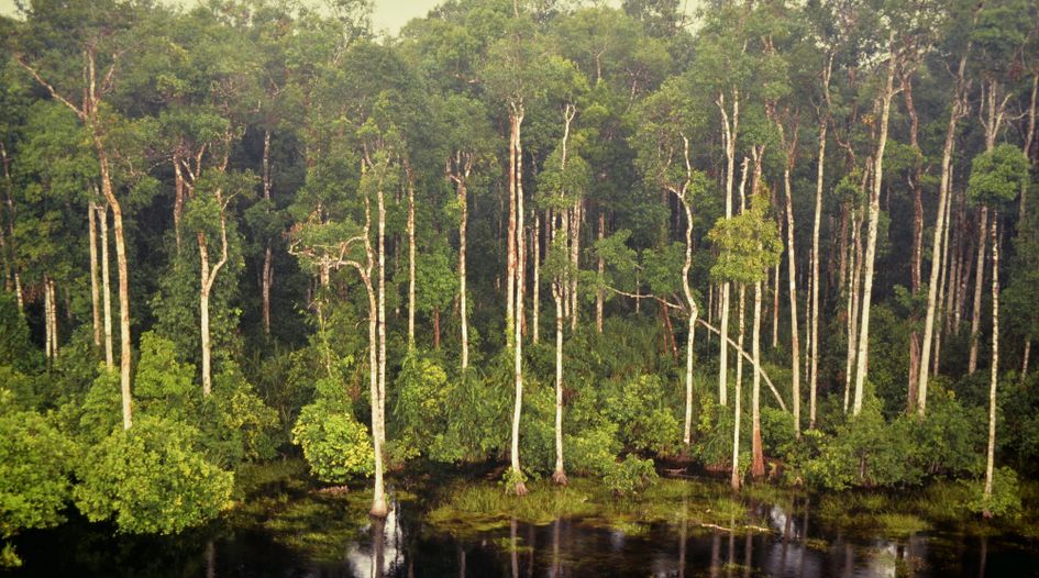 Canadian entity launches claim over carbon-offset project