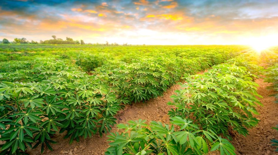 UN agency sees off pair of PCA claims