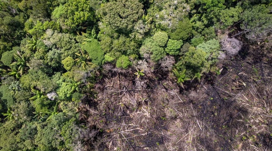 Pará inks largest-ever carbon credits deal in Brazil