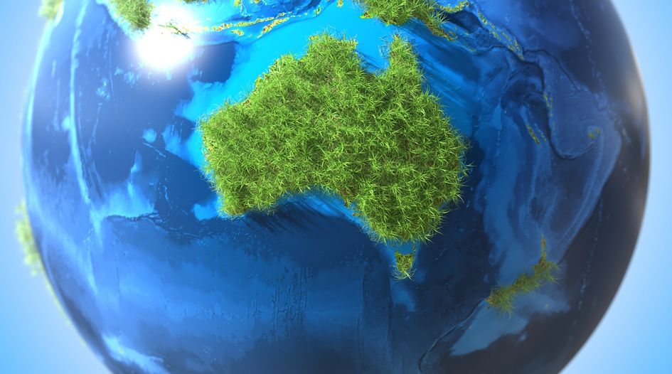 Investment screening rules ‘blocking green capital’, Australian trade group warns