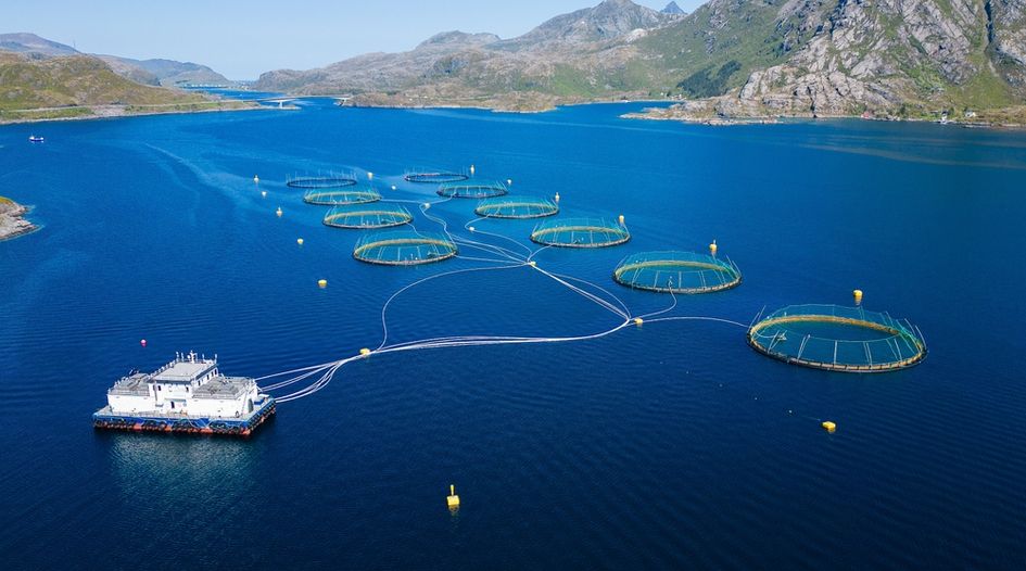 Chilean panel decides billion-dollar salmon dispute