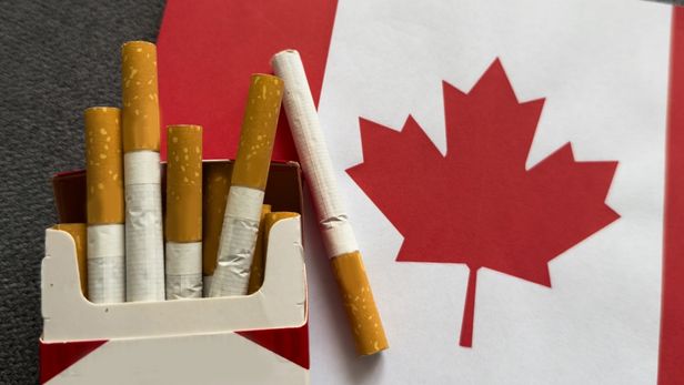 venkata sai tobacco private limited VENKATA SAI TOBACCO PRIVATE LIMITED : neusource startup