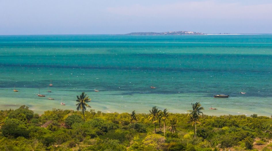 Mozambique faces tax dispute after sale of gas assets