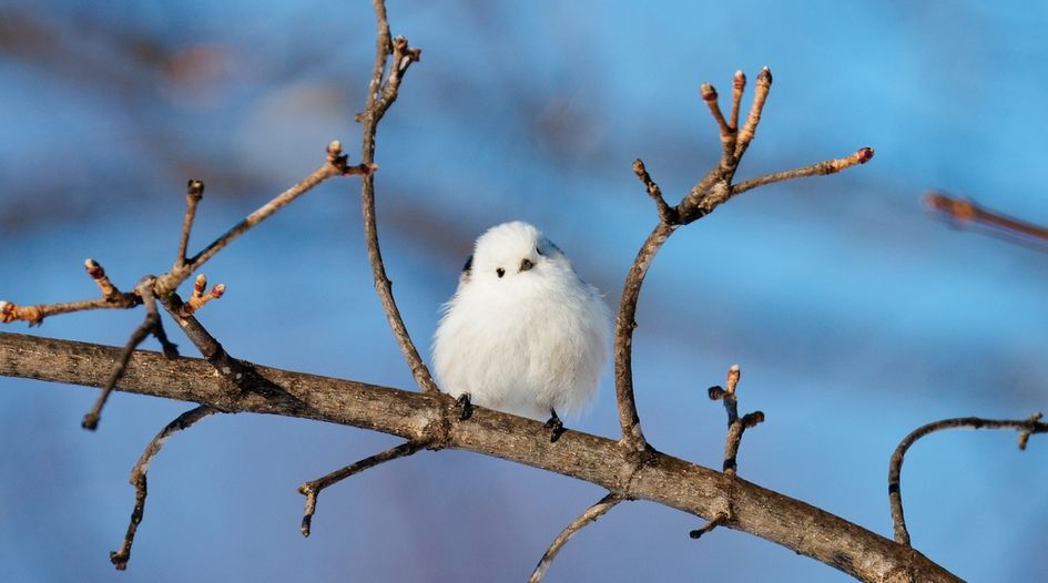 Inside Xiaomi campus; Via launches semiconductor pool; Wi-Fi 7 innovation leaders; Nokia licensing strategy; IPBC Asia; plus much more