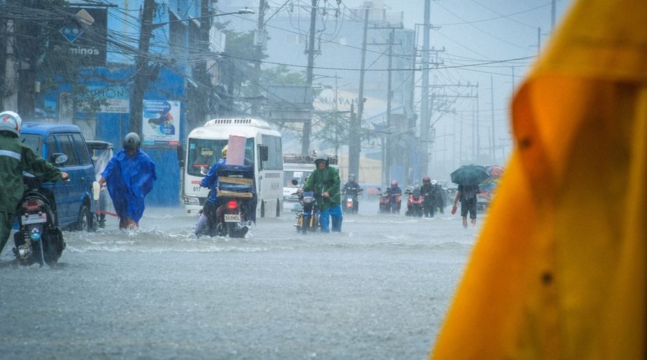 Philippine senators implicated in potential bid rigging cartels, antitrust chief says