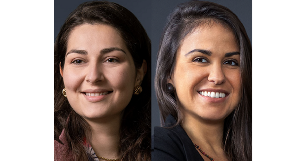 Mayer Brown adds Brazilian partners in São Paulo and Paris