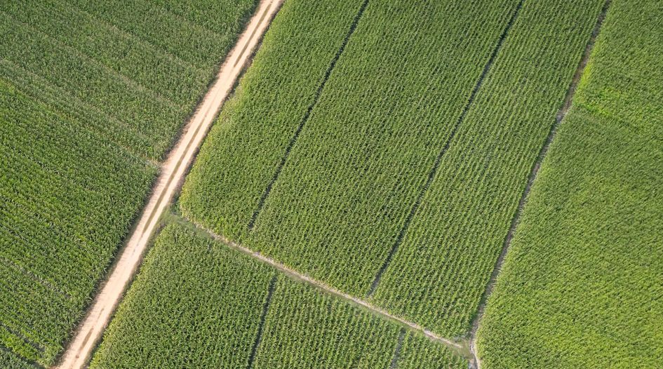 Mexican farmland award surfaces