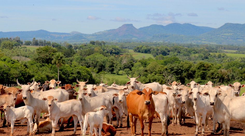 Where’s the beef: The Briefing for 7 January 2026