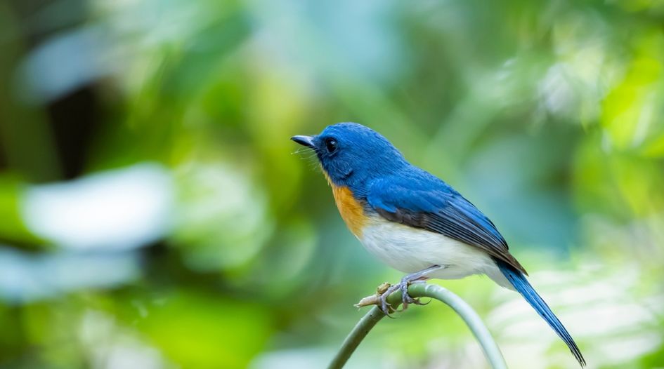 LG sues Transsion; China’s UK patent grants; Justice Singh interview exclusive; Tokyo court SEP guidelines; Ericsson record revenues; plus much more