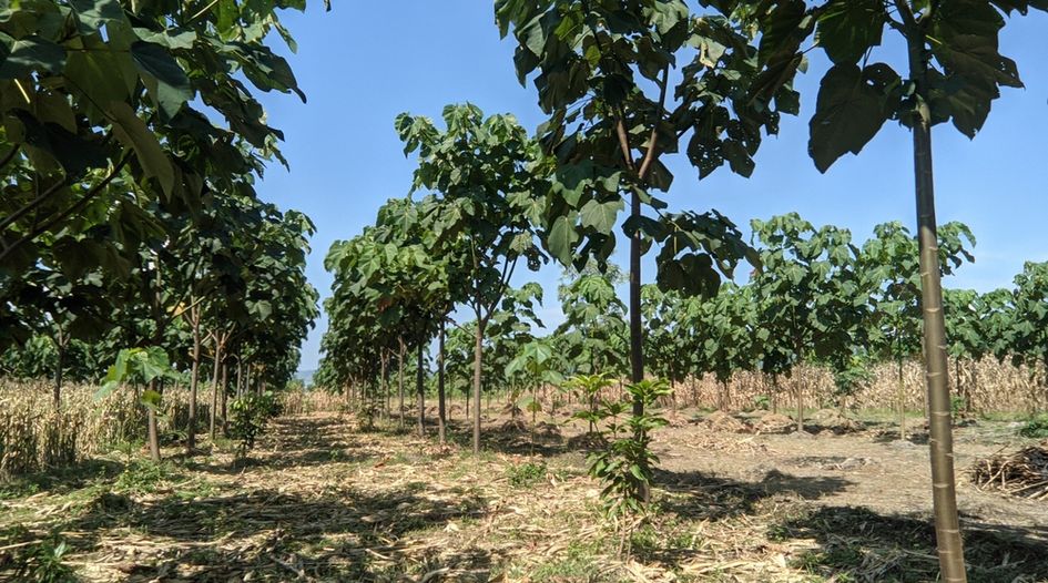 Canadian investor snaps up forestry software group in Brazil