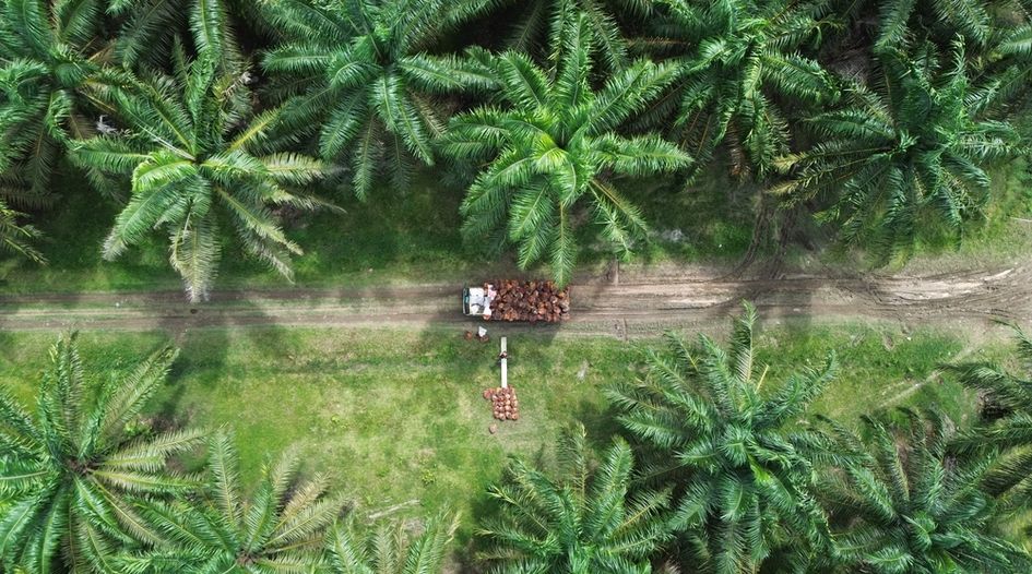 Inside one company’s $173m response to forced labour allegations